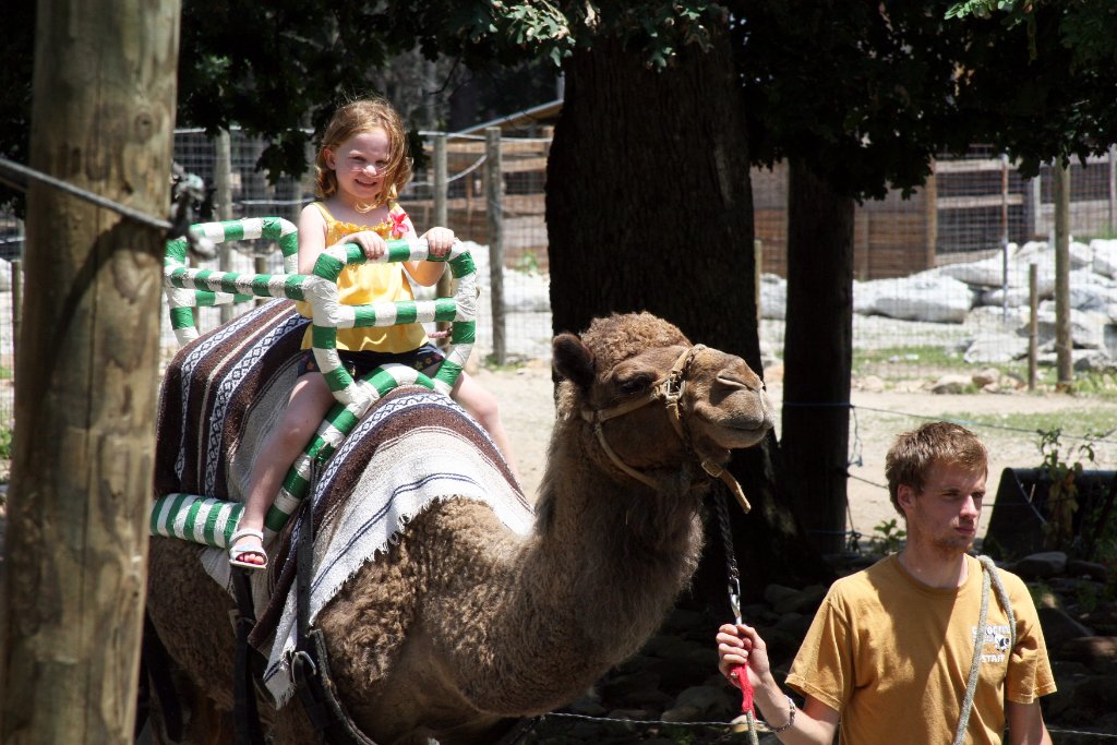 Amber Riding the Camel